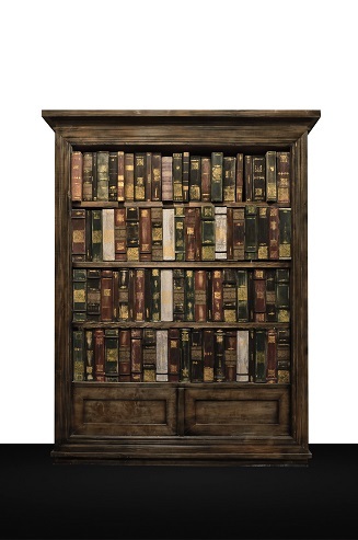 <p>A bookcase with a ghost<br></p>