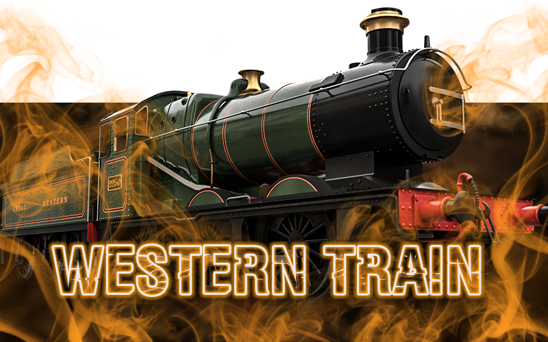 <span style="font-weight: bold;">Western train&nbsp;</span>